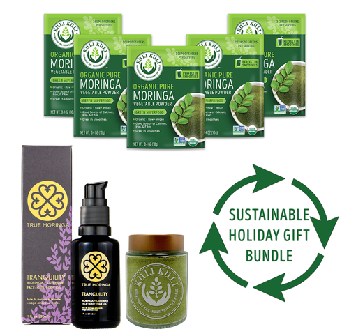 Sustainable Holiday Kit